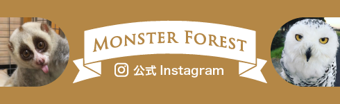 MONSTER FOREST 公式Instagram